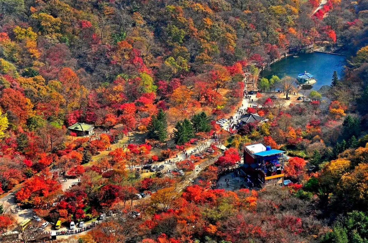 내장산 단풍