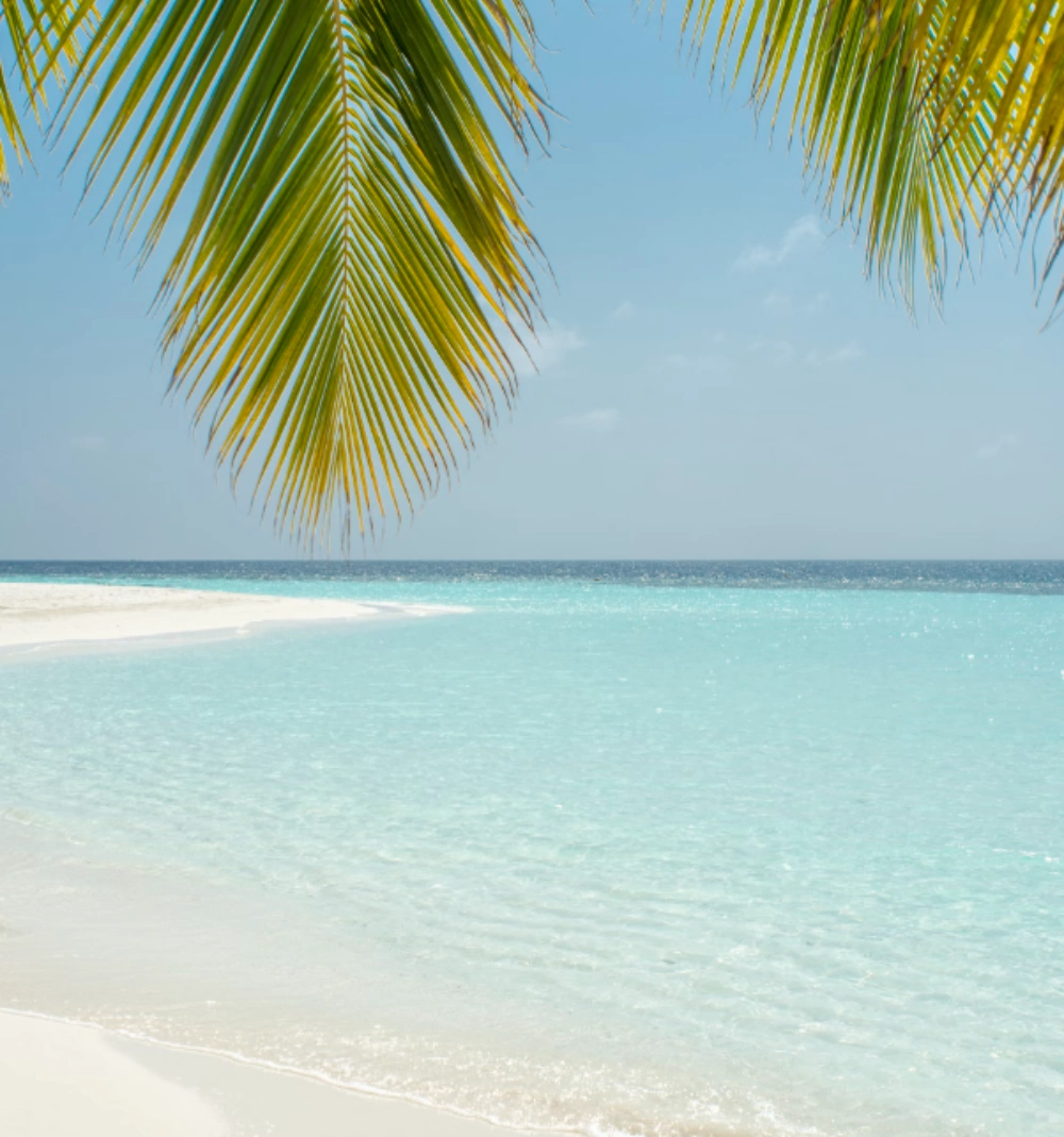 일사병 열사병 예방