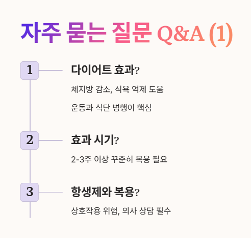 자주 묻는 질문 Q&A