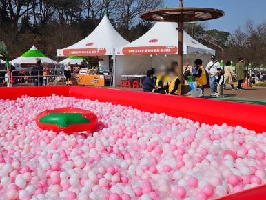 2025 논산 딸기 축제