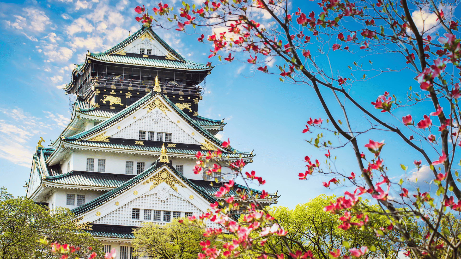 나라별 공항에서 꼭 알아야 할 꿀팁