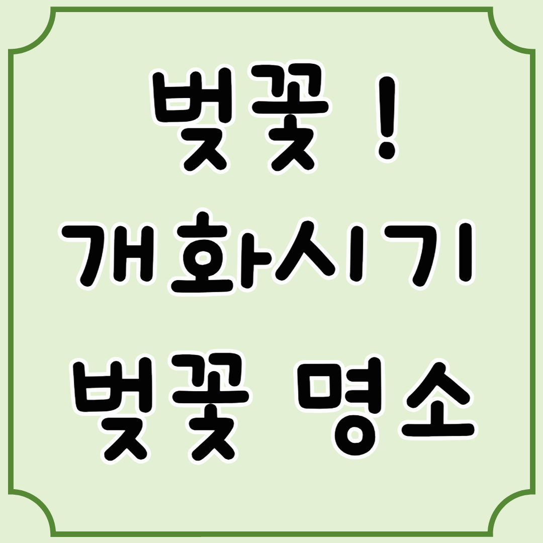 벚꽃 개화 시기 및 벚꽃 명소