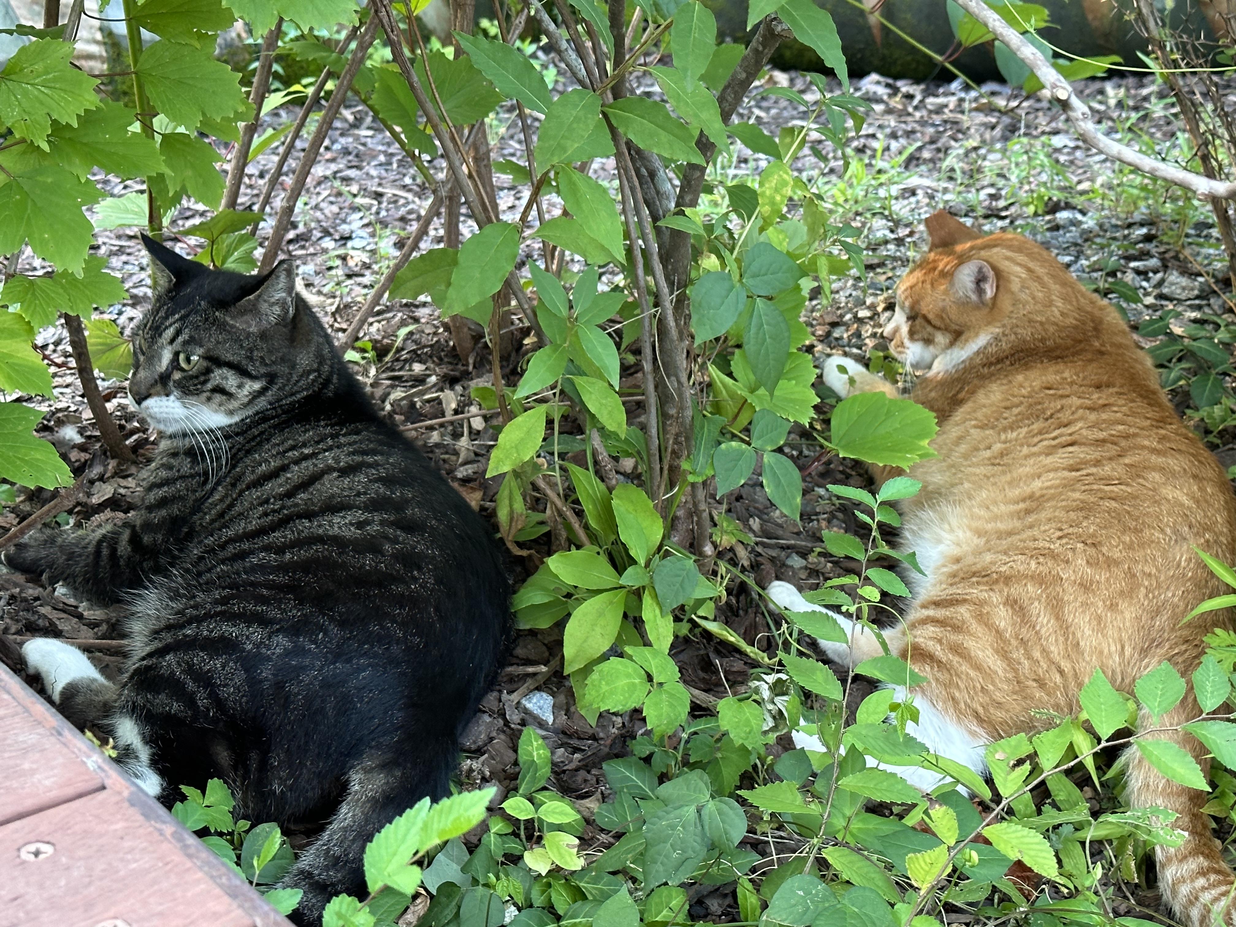 손기정문화도서관