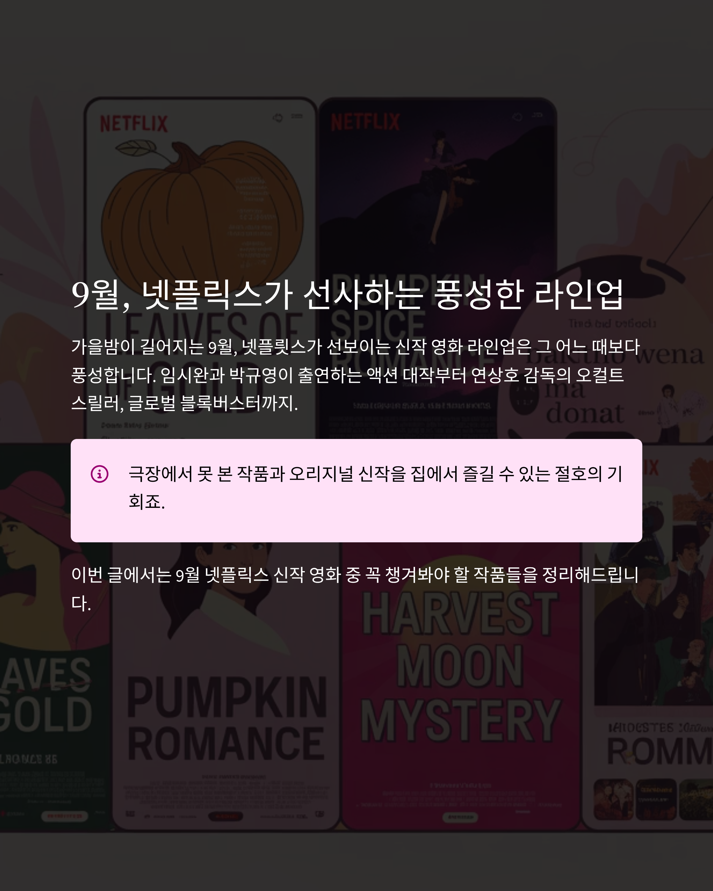 넷플릭스9월신작관련사진