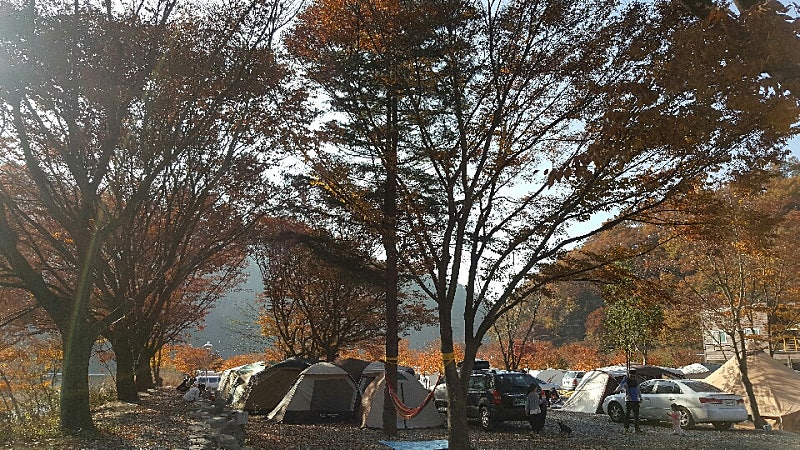 경남 밀양표충오토캠핑장 소개