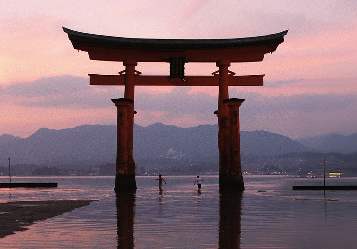 가고시마 관련 사진