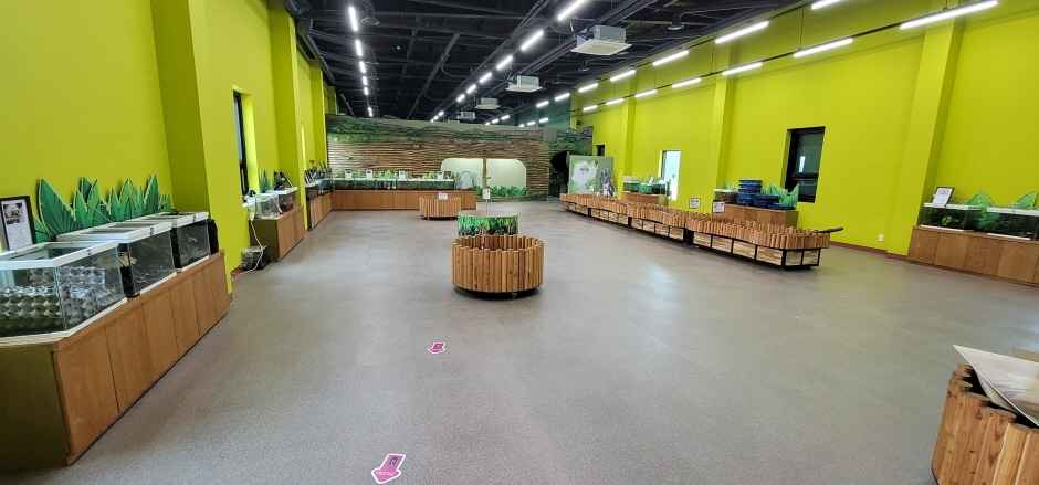 여주 가볼만한곳 베스트10 - 여주곤충박물관