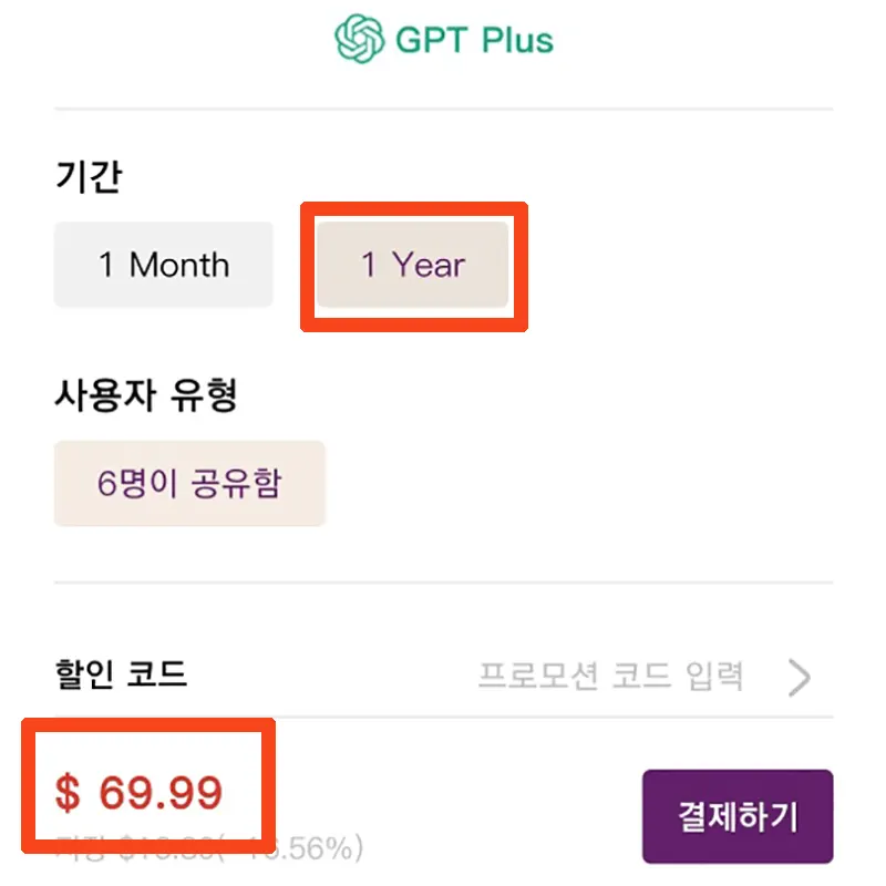 챗-GPT-Plus-1년