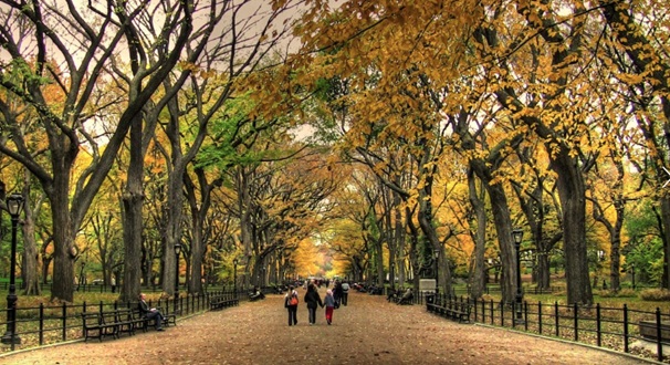 센트럴 파크 (Central Park) 단풍 1