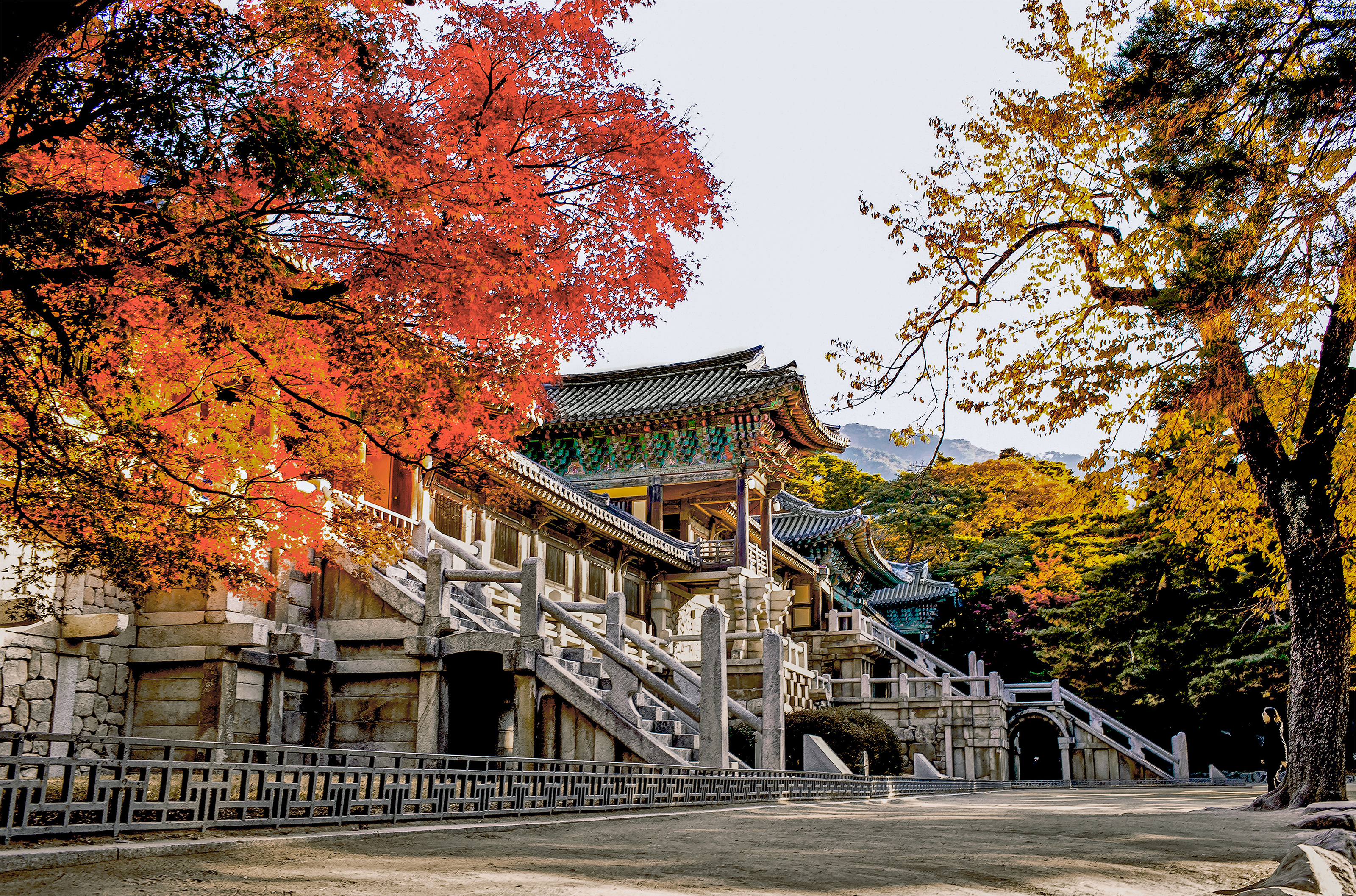 경주 불국사와 가을의 빛의 조화로움