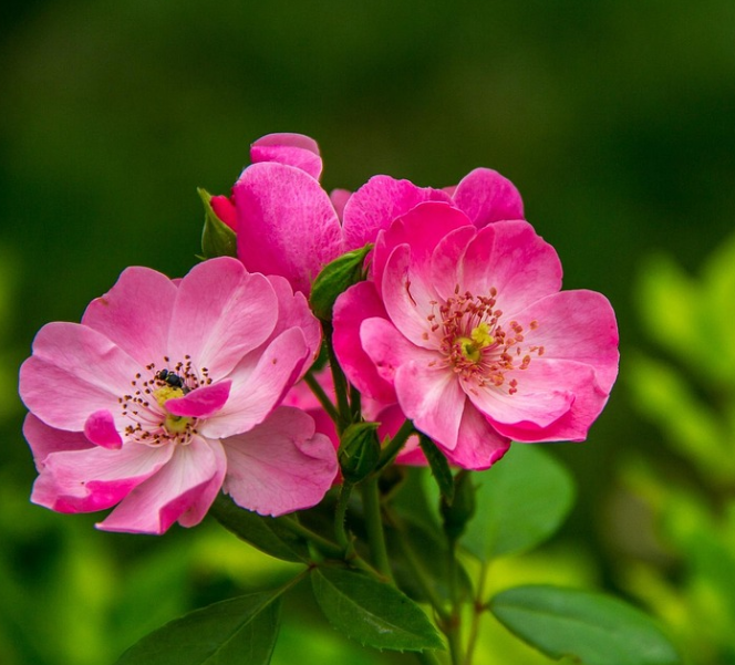 두타산 자연경관 사진