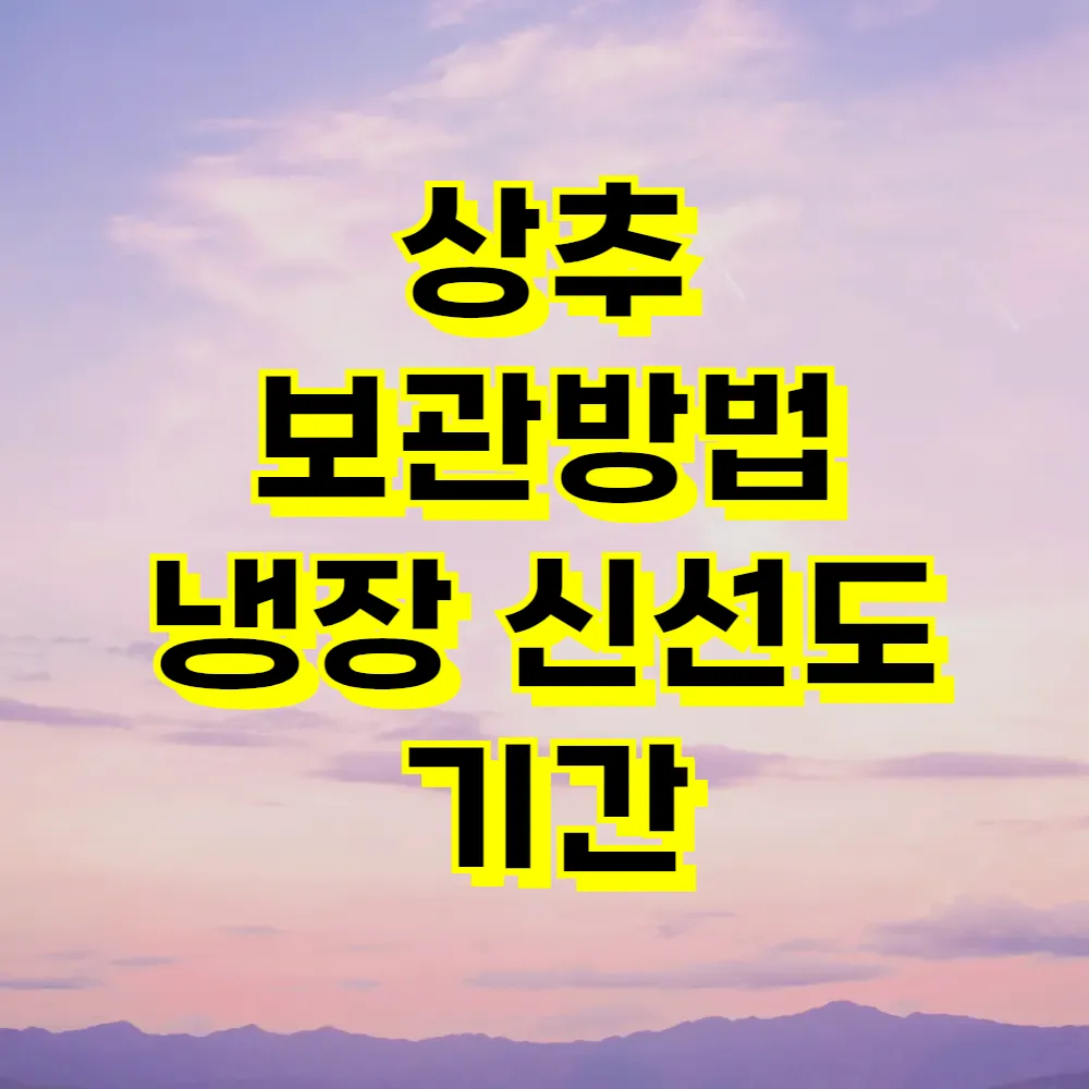 상추 보관방법 냉장 신선도 기간