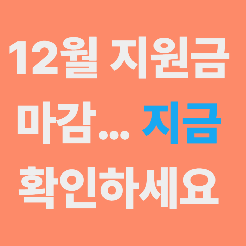 12월 청년 지원금 총정리 안내