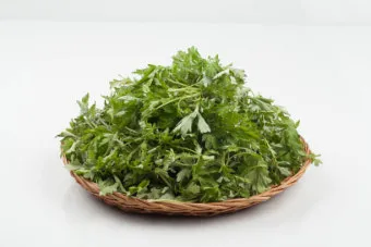 쑥 효능 부작용 하루 섭취량 먹는법_9