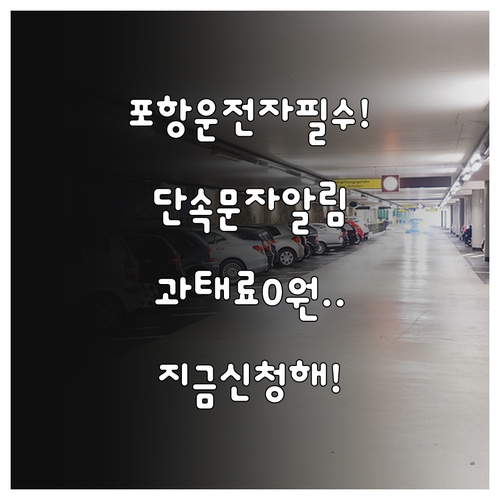 포항 주정차 단속 문자 알림 신청하기..