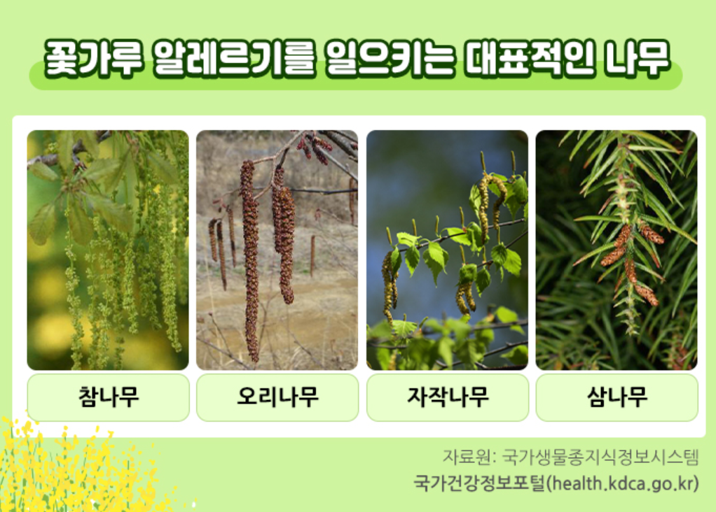 질병관리청 국가건강정보포털 참조