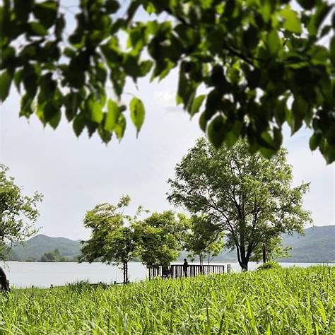 강원도 삼척 해양레일바이크 티켓 예매 소요시간 맛집 숙박