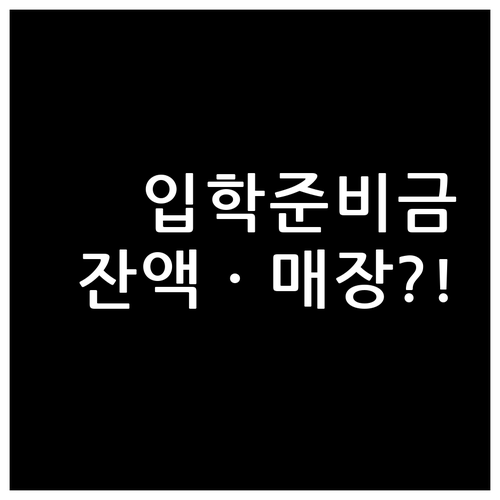 실패 없는 입학준비금 사용법 잔액 조..