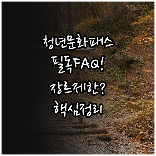 청년문화예술패스 자주 묻는 질문과 장..