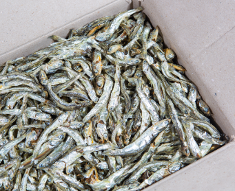 제사상 금기시 음식