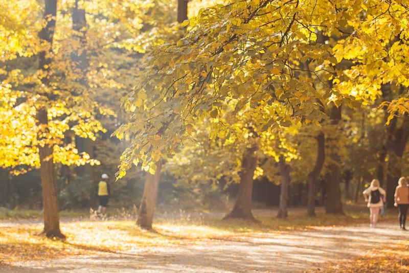 장거리 여행 시 시차적응 방법 - 3