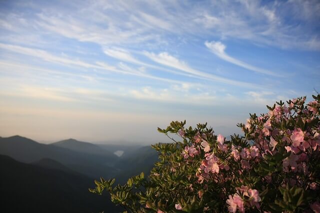 산청 황매산 철쭉제 주차장