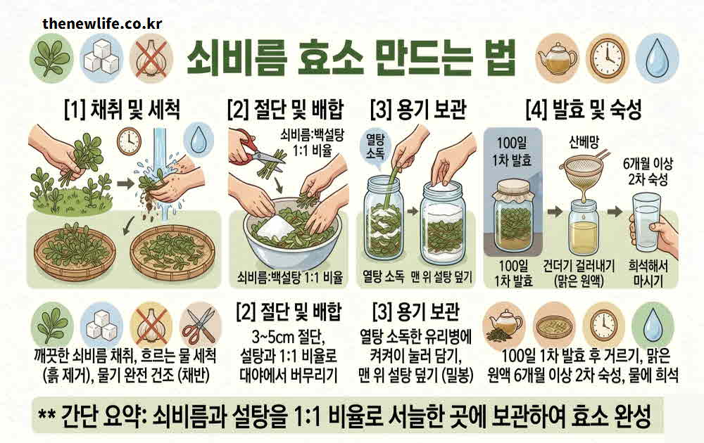 쇠비름 효소 만드는 법
