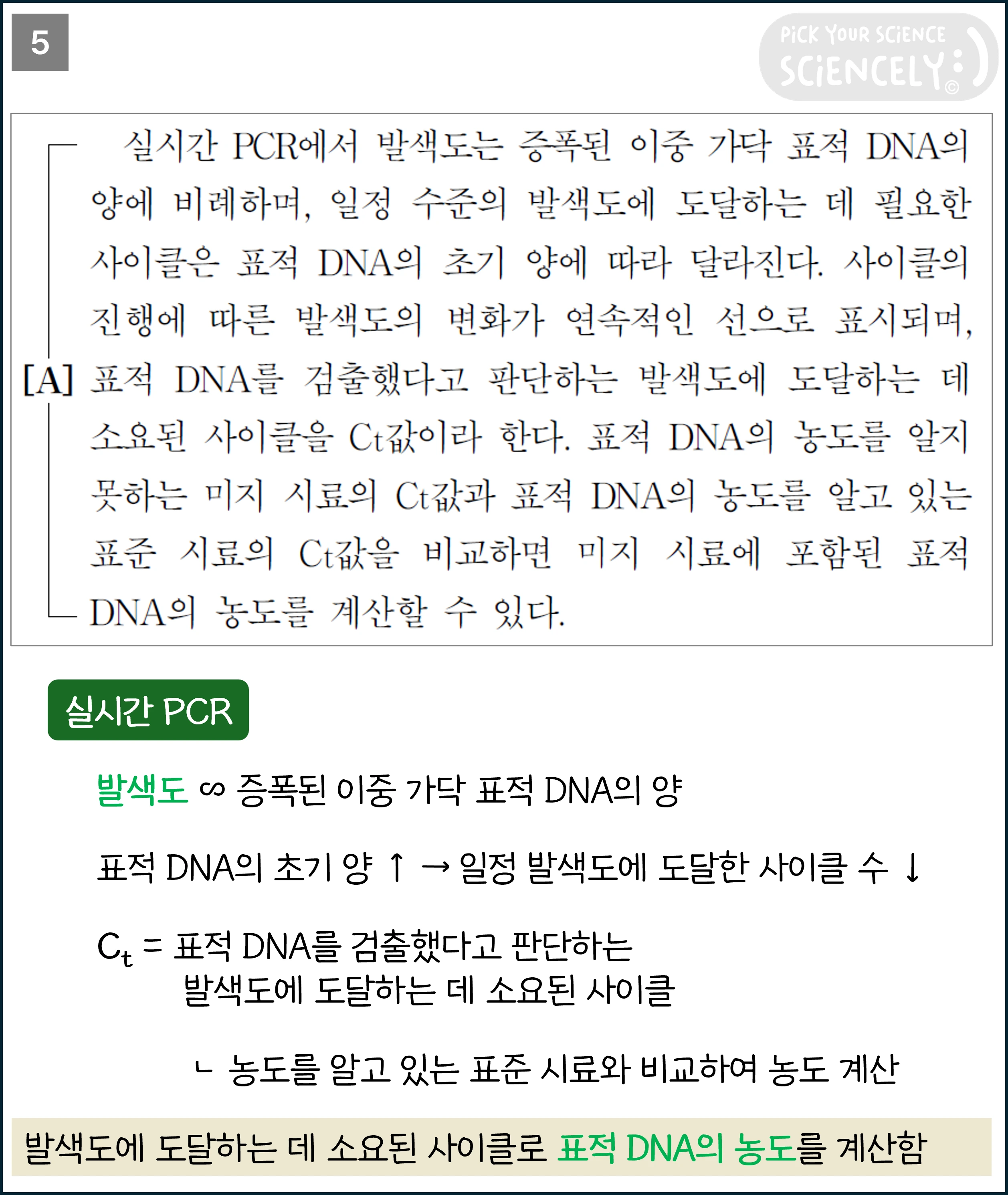국어 독서 과학기술, 국어 비문학 과학기술, 22학년도 고3 6평 Q14-17, 중합 효소 연쇄 반응, PCR, 5문단