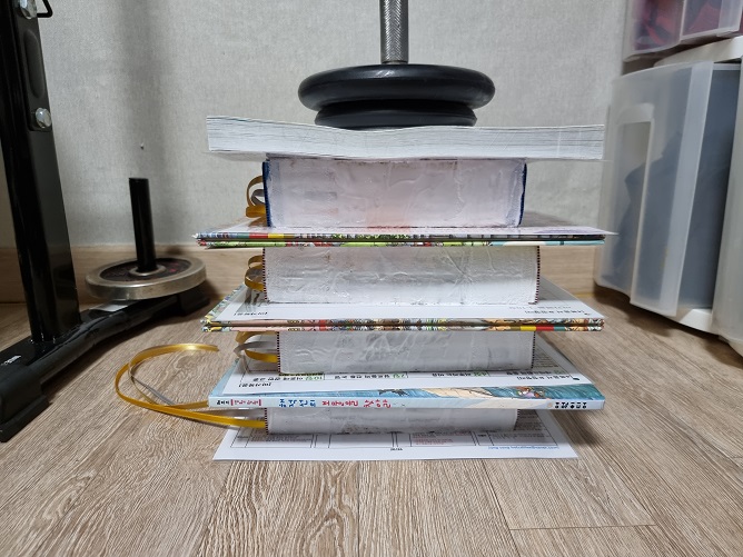 성경 리폼 과정