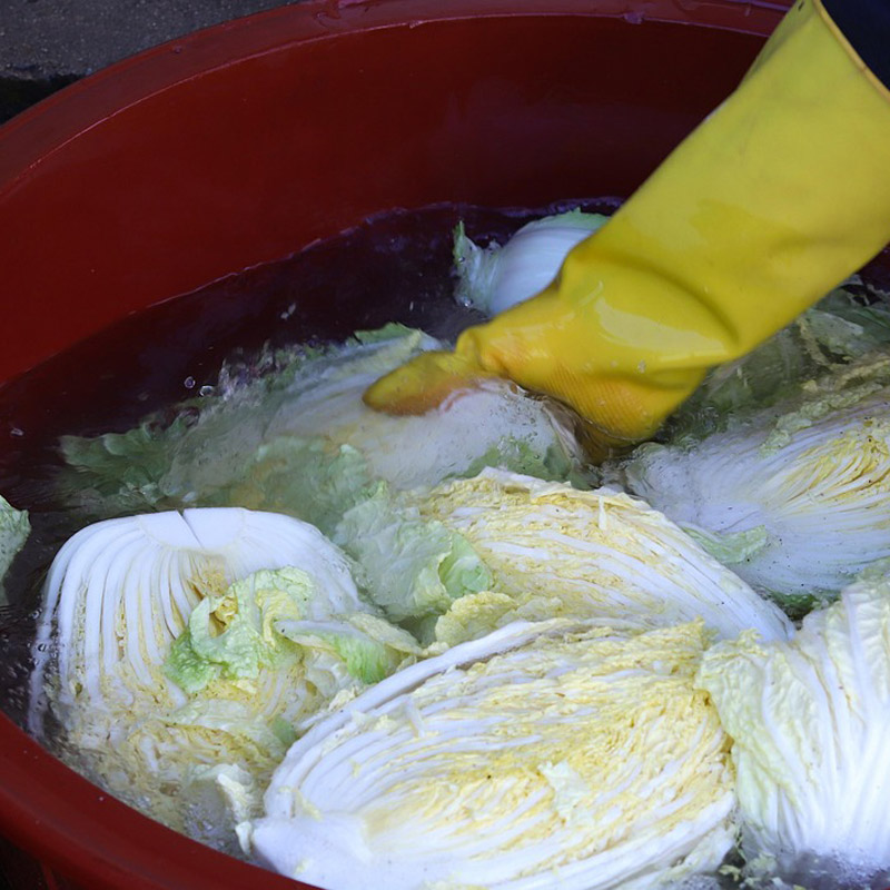 절임배추 가격부터 사전예약까지