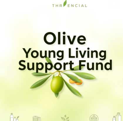 올리브영민생지원금그림