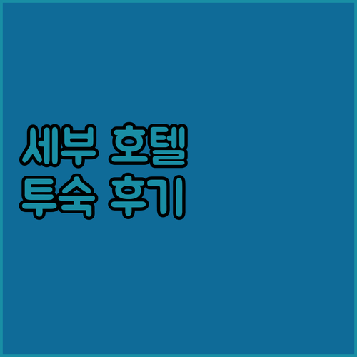 세부 호텔 추천 필로우스 호텔 세부,