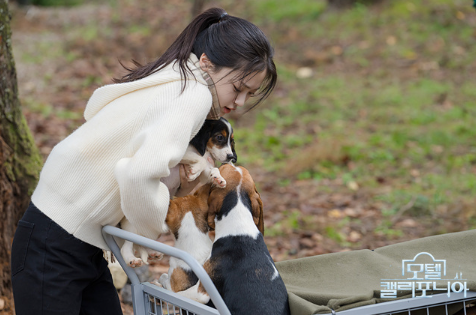 모텔 캘리포니아 재방송