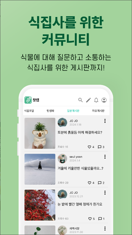 왓캠, 꽃 이름 찾기 어플, 꽃 사진으로 꽃 이름 찾아보기