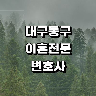 대구 동구 이혼 변호사