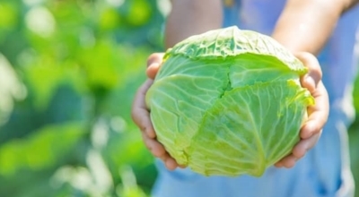 췌장에좋은음식이미지