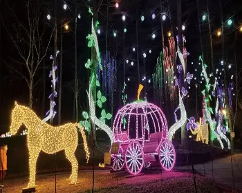 아침고요수목원_4