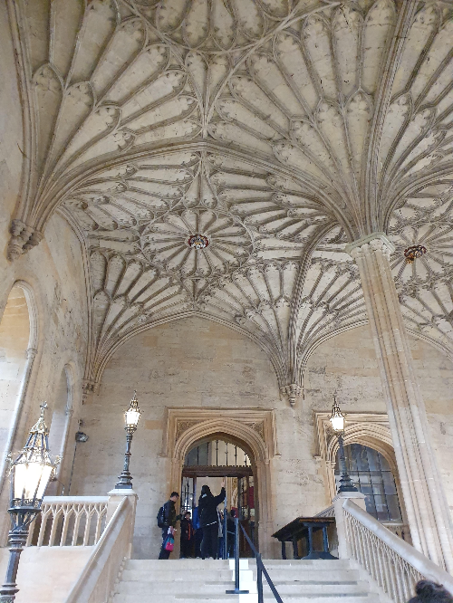 크라이스트 처치 칼리지