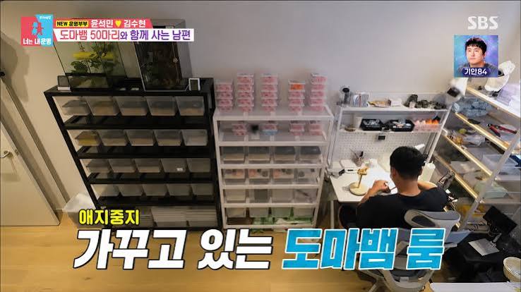 윤석민 도마뱀 관련 이미지