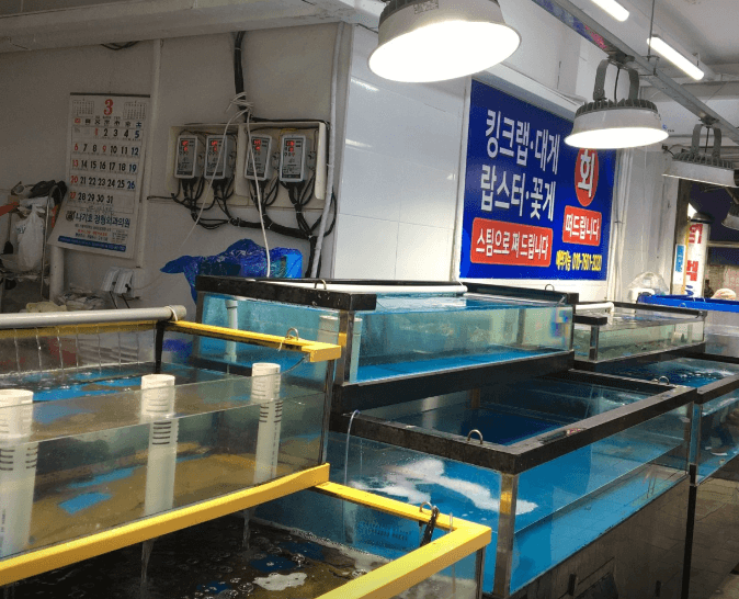 생방송투데이 동대문 모둠회 맛집 정보