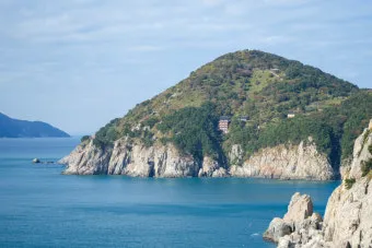 통영 연화도 수국 꽃길 산책 코스와 최적 관람 시기_8