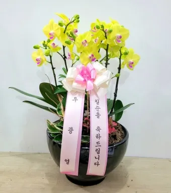 팔순 축하문구 추천 예시 30개 모음 및 인사말 작성팁_25
