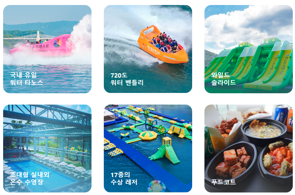 캠프통 포레스트