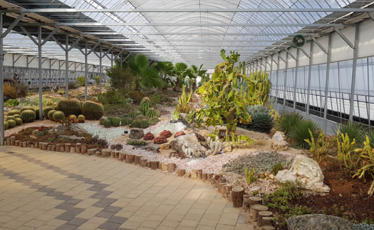 덕평 공룡수목원