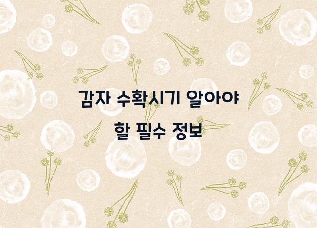 감자 수확시기