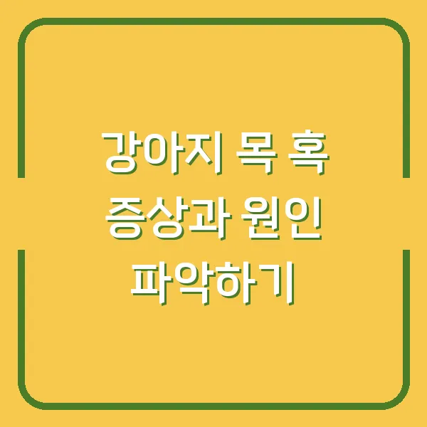 강아지 목 혹 증상과 원인 파악하기