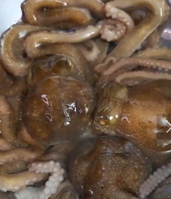 양평낙지집