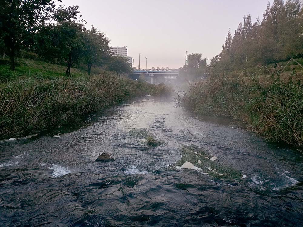 은평구 SNS 콘텐츠 공모전: 은평이 그리는 내일 불광천