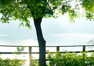 천상의정원 수생식물학습원 정보 안내