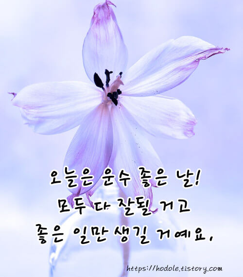 운수좋은날